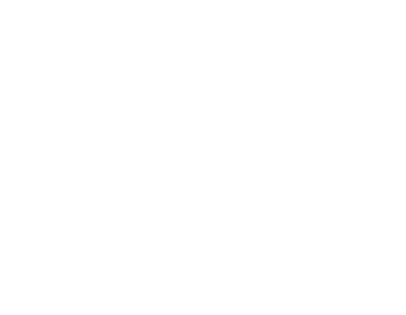 DAKSHINA TECH SOLUTIONS Logo